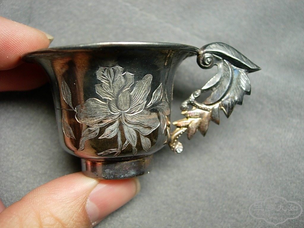 DSCN1147.JPG