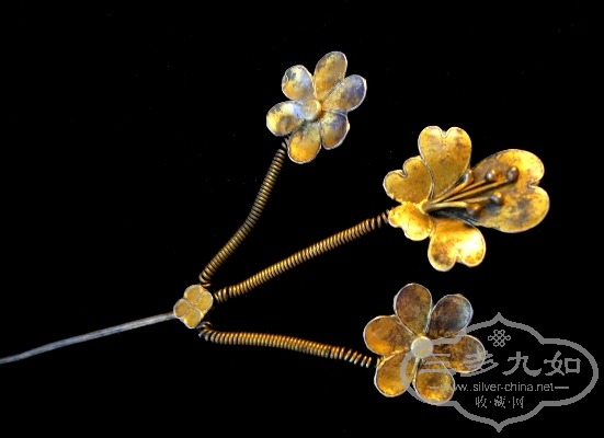 ���� P1240944.JPG