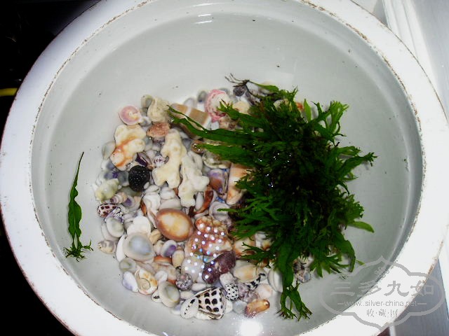 P1010002.jpg