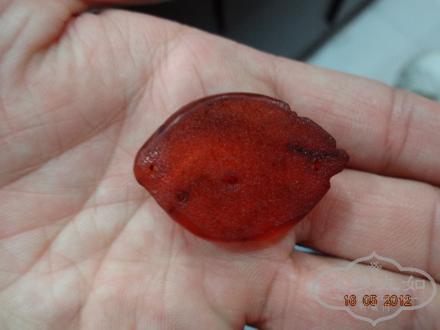 DSC01384.JPG