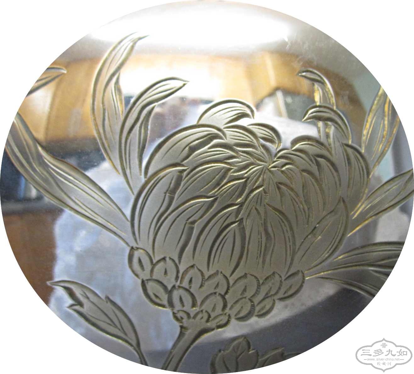 chrysanthemum-11.jpg