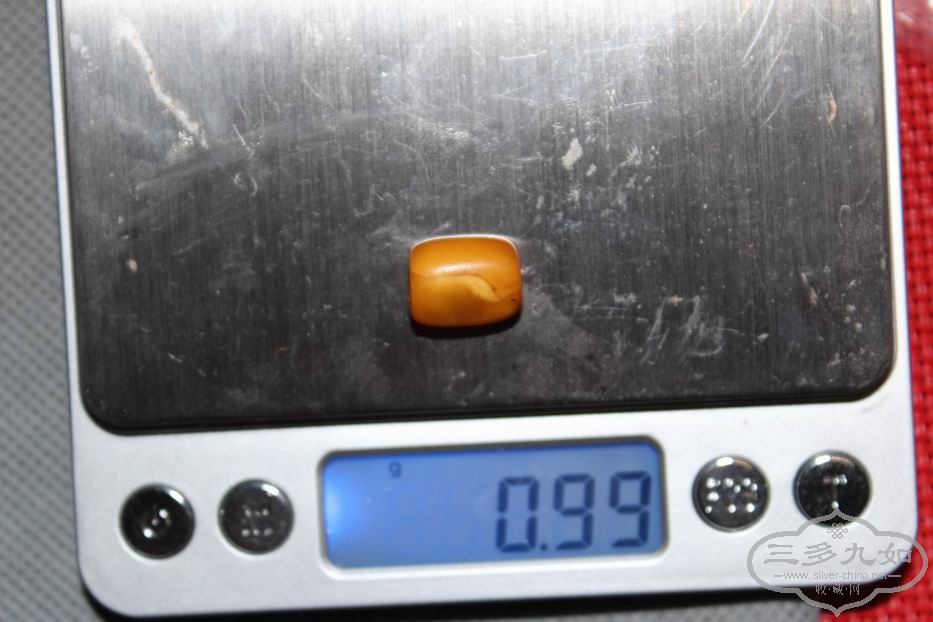 29_5.JPG