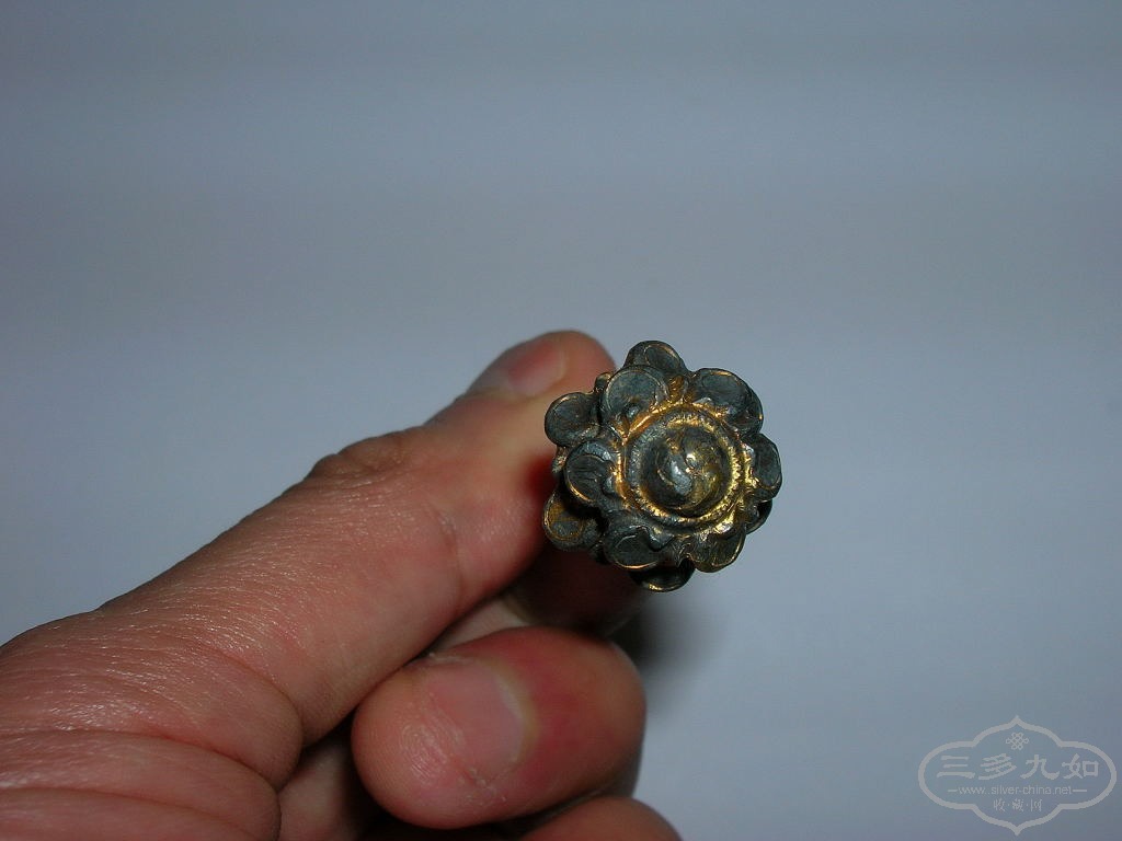 DSCN92751.JPG