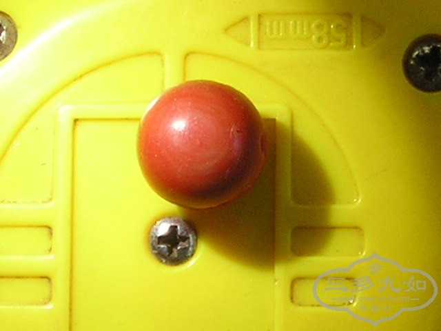 P1010008.JPG