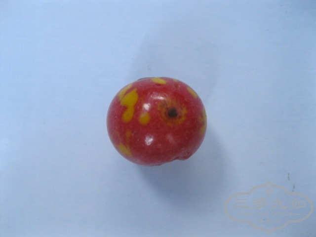Ƭ 1269.jpg