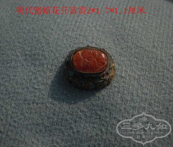 DSCN9245.JPG