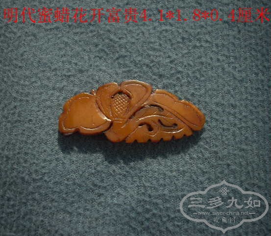 DSCN8813.JPG