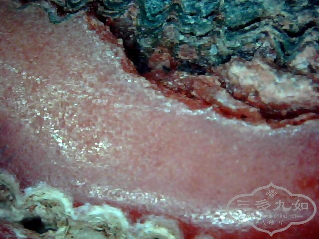 ͼƬ 034.jpg