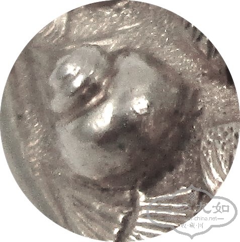 snail.jpg