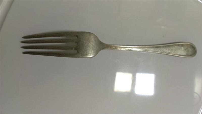 IMAG4314 ().jpg