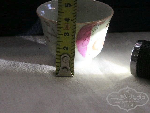 P1010070.jpg