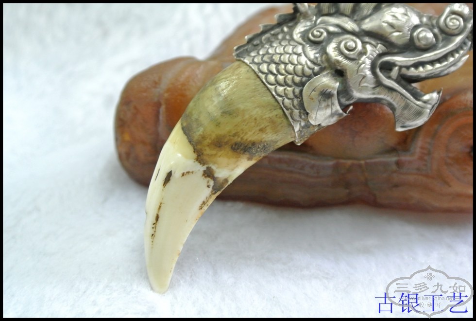 conew_dsc_2583.jpg