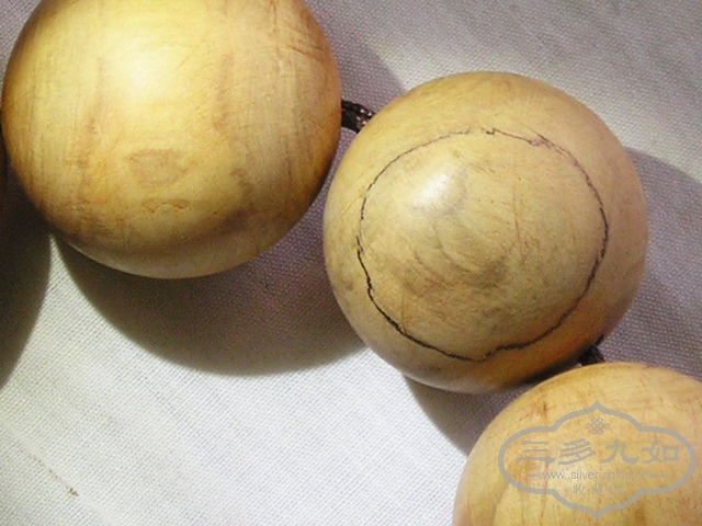 P1010050.jpg