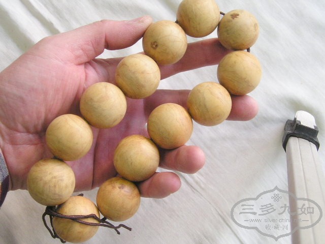 P1010054.jpg