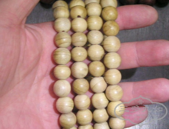 P1010007.jpg