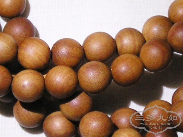 P1010055.jpg