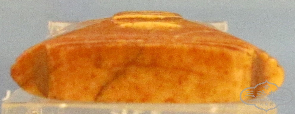 IMG_5427.JPG