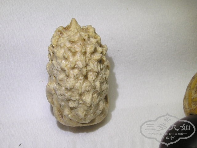 P1010025.jpg