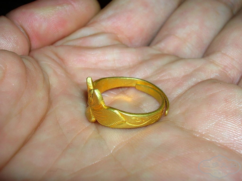 DSCN7584.JPG