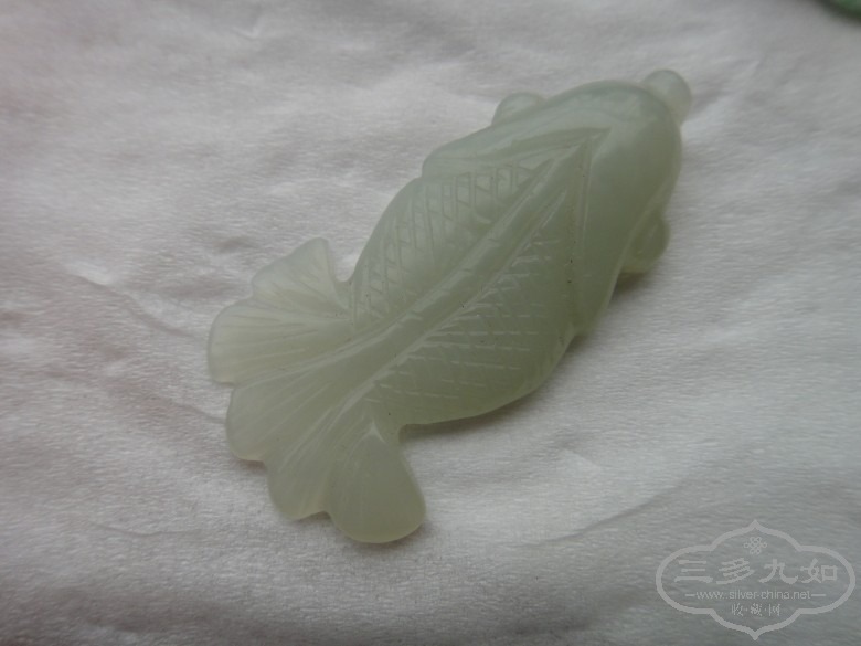 DSC02879_conew1.JPG