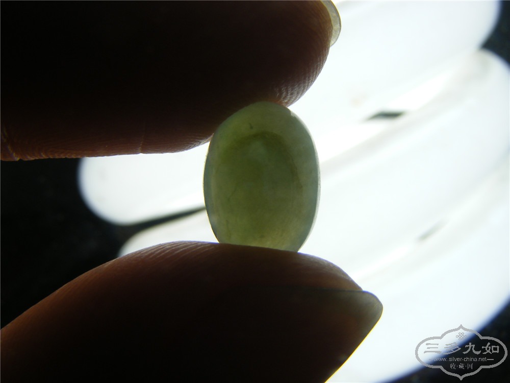 DSCF1534.jpg