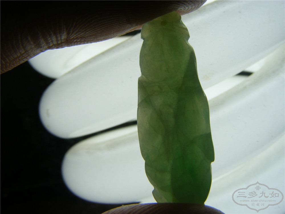 DSCF7608.jpg