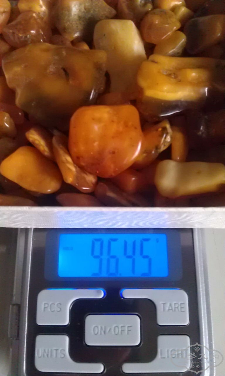 IMAG1027.jpg
