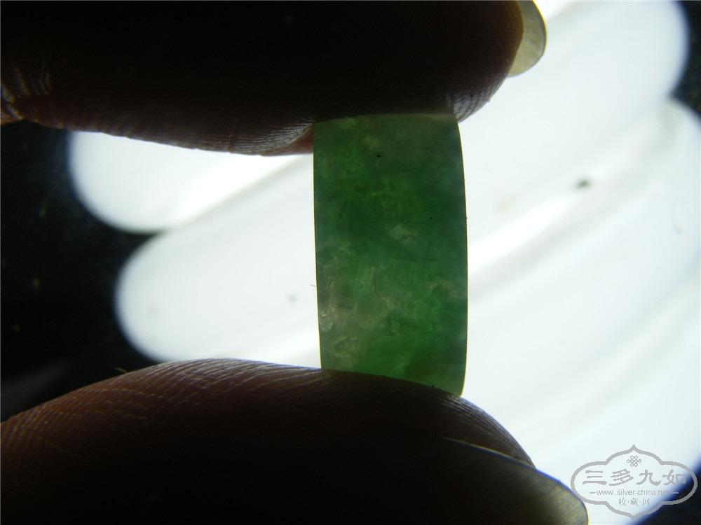 DSCF5548.jpg