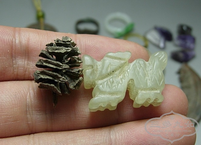 DSCN6848.jpg