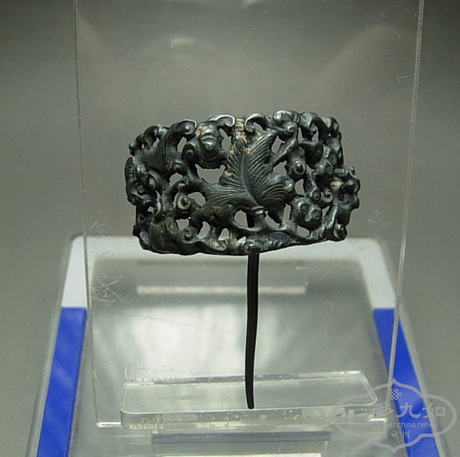 DSCN6400.jpg