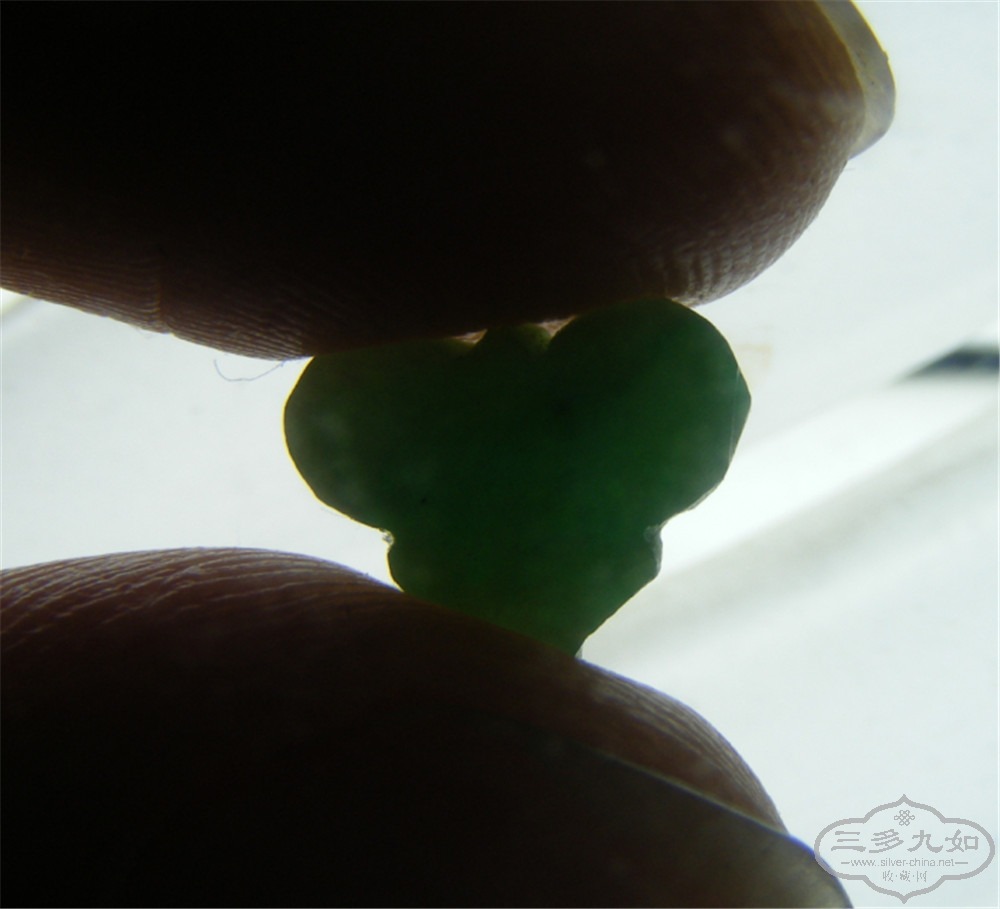 DSCF5815.jpg