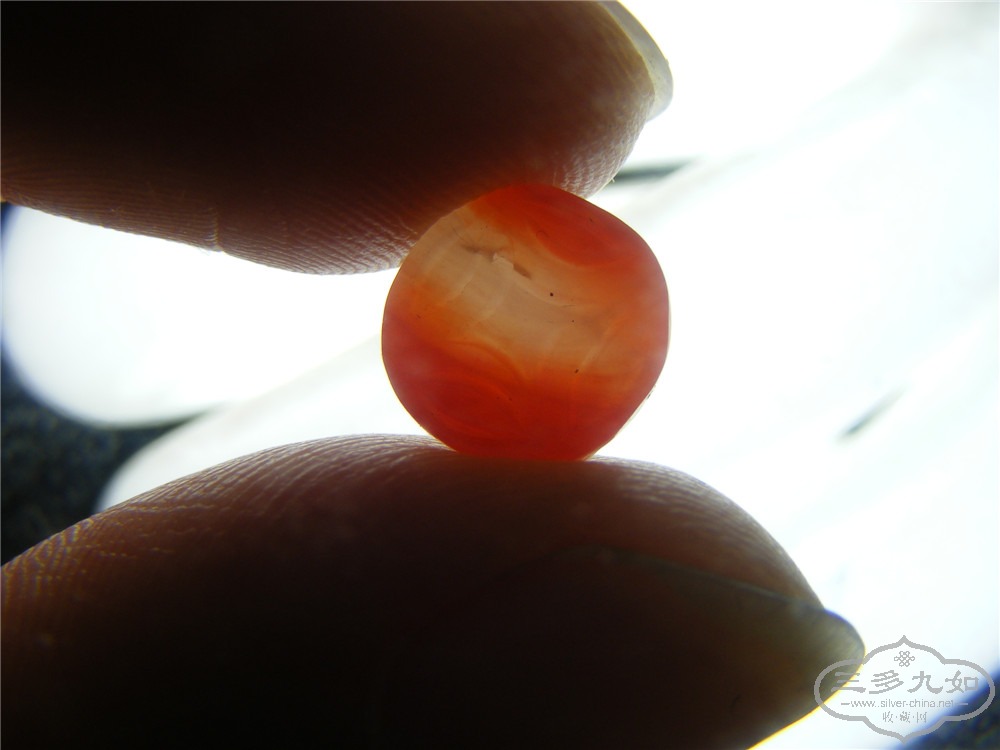 DSCF5827.jpg