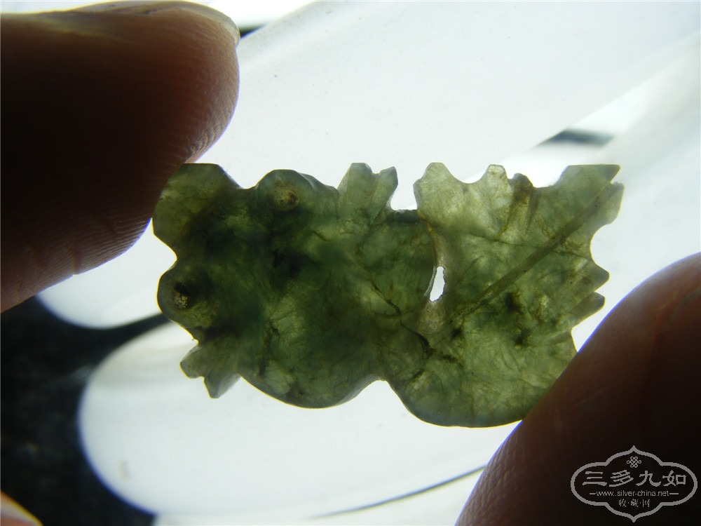 DSCF5711.jpg