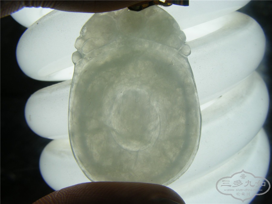 DSCF4353.jpg