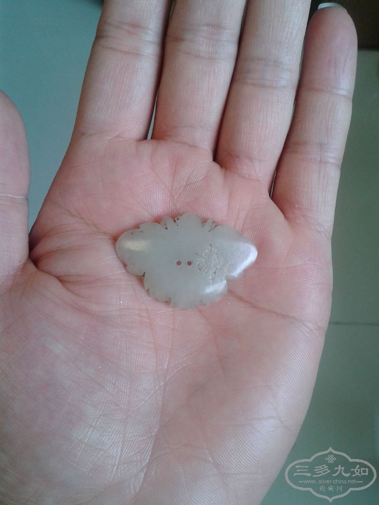 20140730_125659.jpg