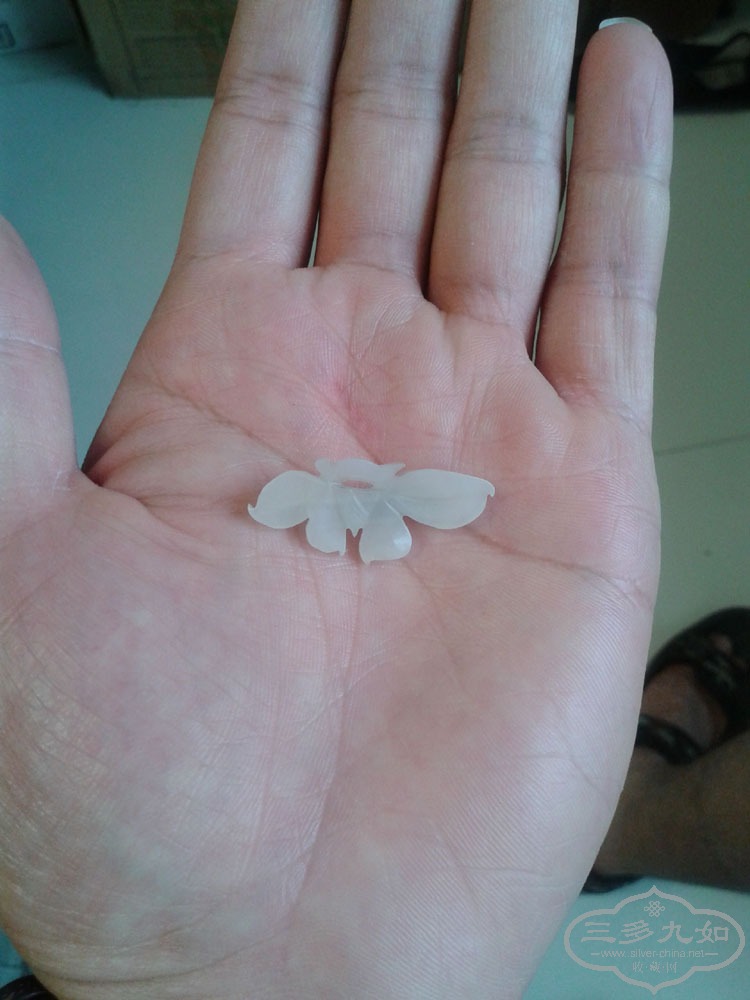 20140730_121059.jpg