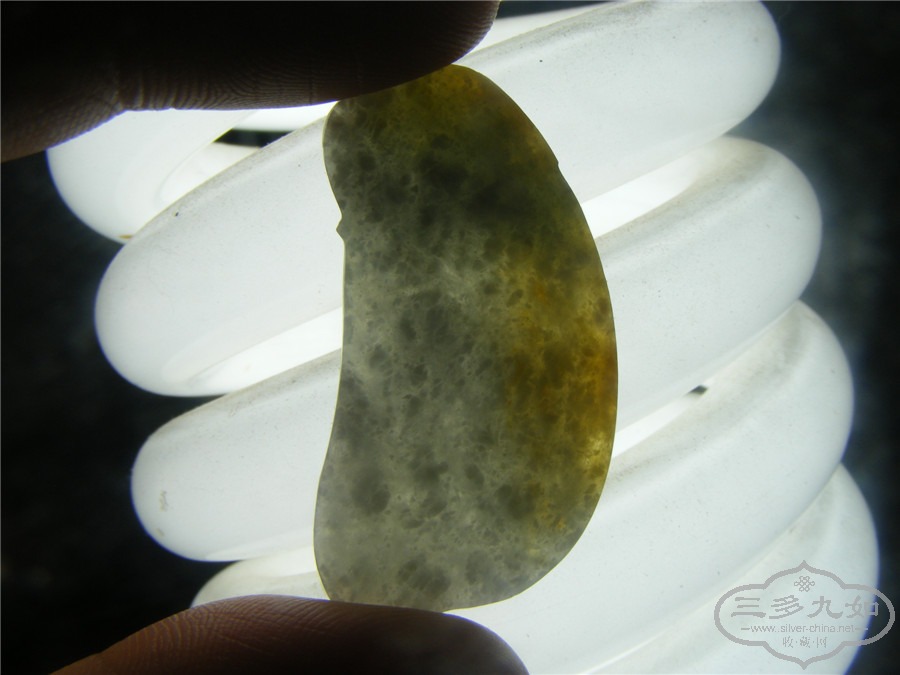 DSCF8488.jpg
