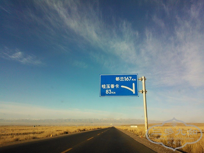 WP_000750.jpg