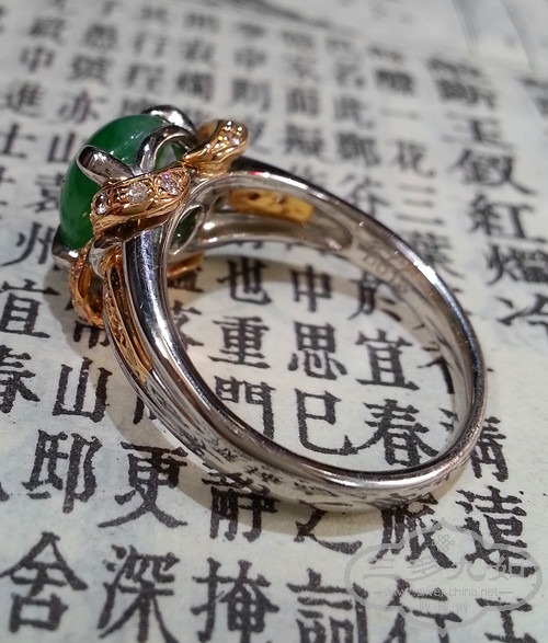 20141026_114231_.jpg