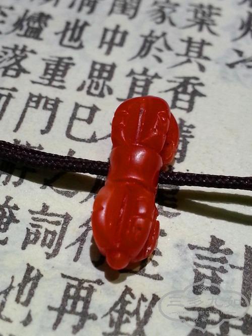20141102_165539_.jpg