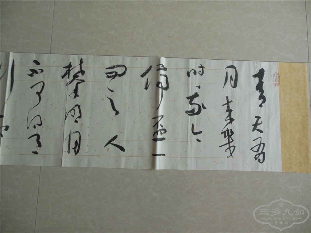 DSCN7081.jpg