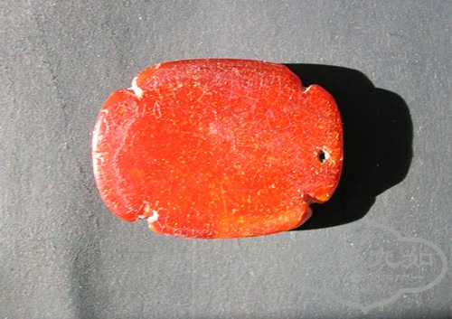 DSCN2494_.jpg