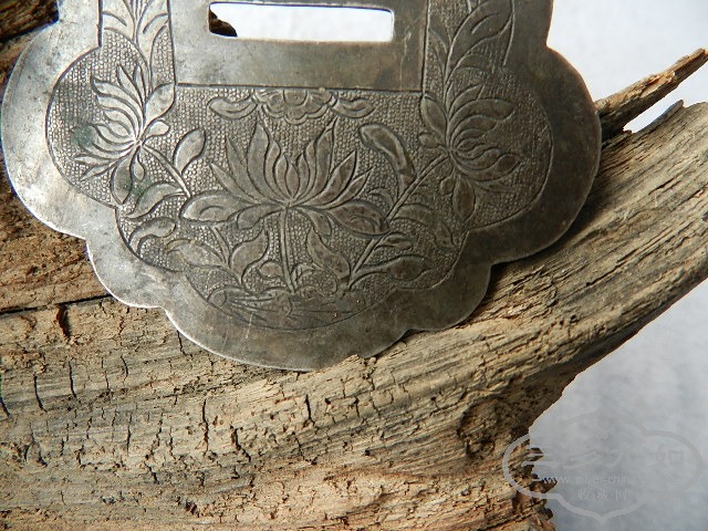 DSCN2256.JPG