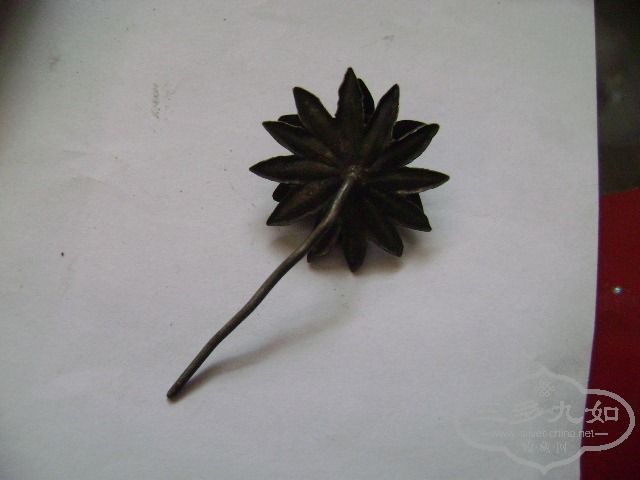 DSC01089.JPG