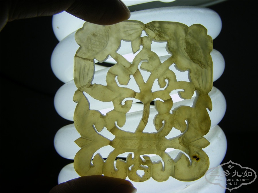 DSCF1646.jpg