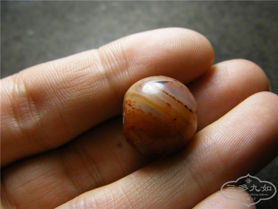 DSCF6378.jpg