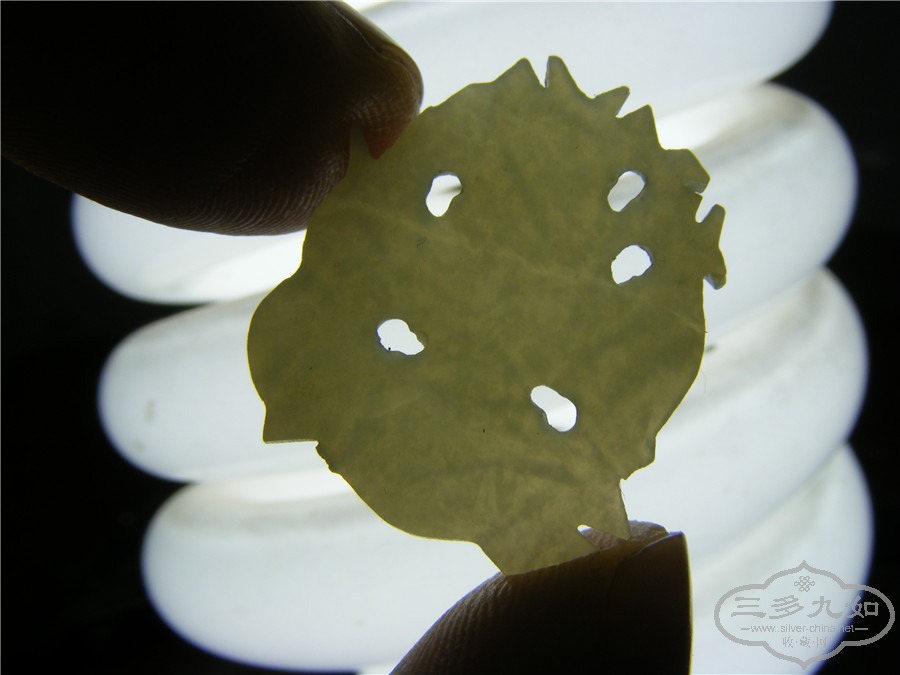 DSCF6817.jpg