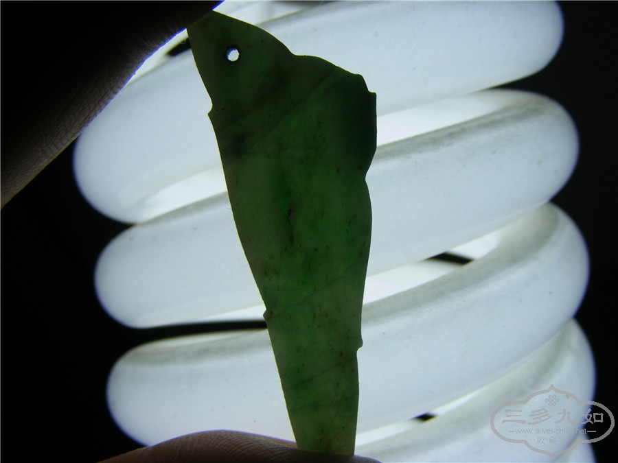 DSCF8147.jpg