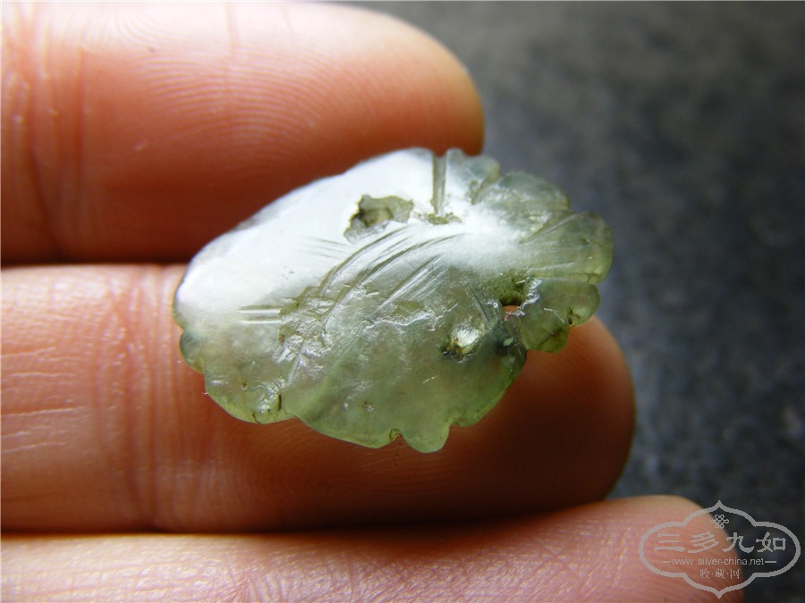 DSCF8845.jpg