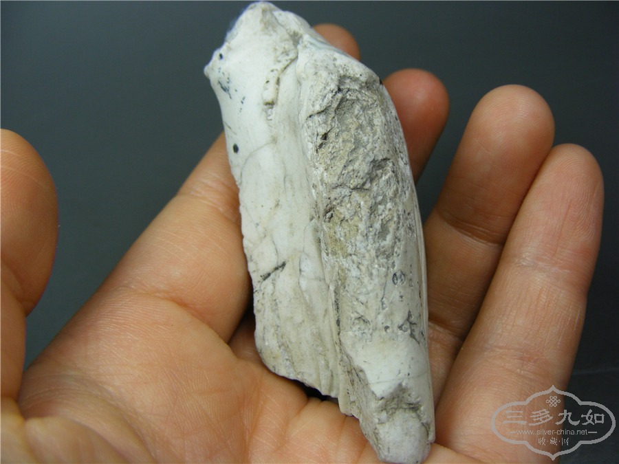 DSCF5078.jpg